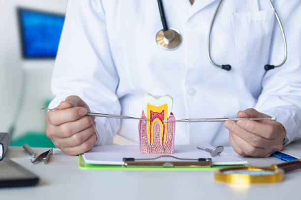 Best Emergency Dental Care for Abscessed Tooth in Northchase, NC